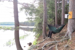 Hammock facing White Trout Lake, Algonquin Park