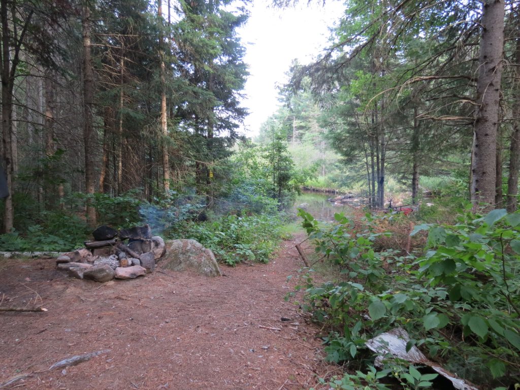 The Forks Campsite