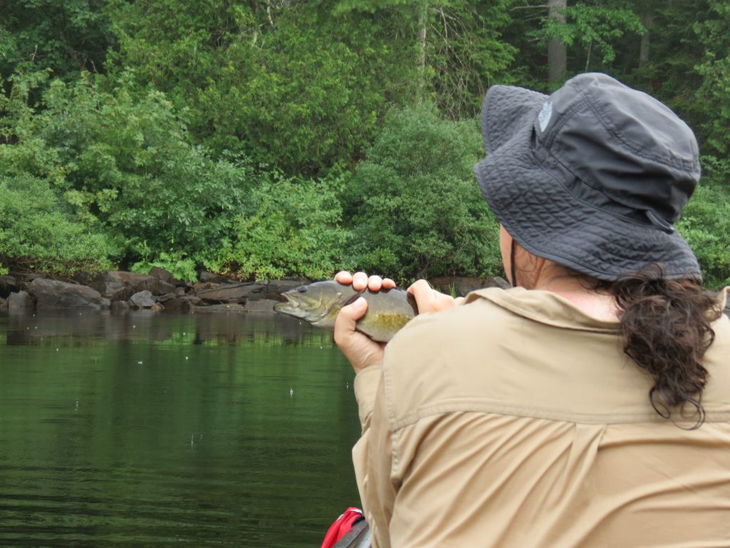 Petawawa River Bass