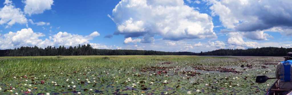 Sunfish Lake